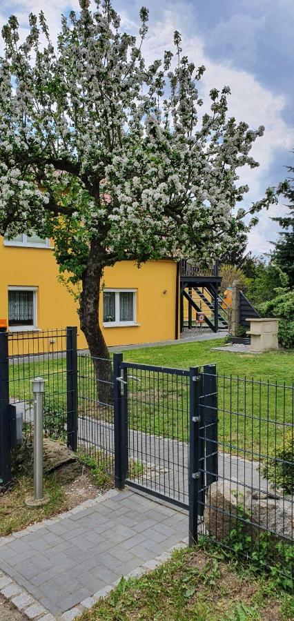 Gleissner Apartment Garz (Usedom)